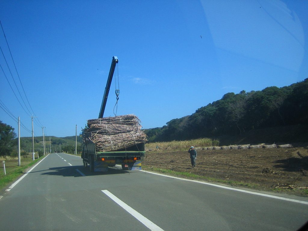 Surfing and space in Tanegashima island, Kagoshima, Japan. It is in sugarcane fields in the Tanegashima island.