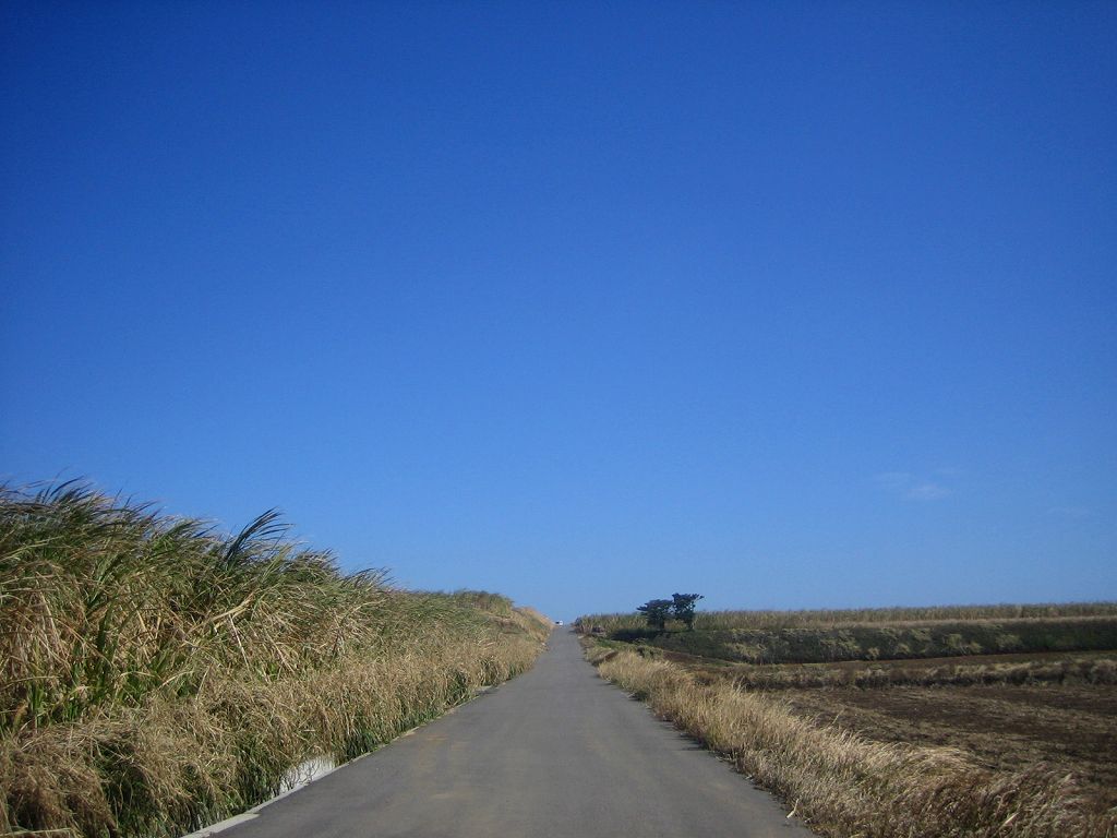 Surfing and space in Tanegashima island, Kagoshima, Japan. I also enjoy driving in the island. It is in sugarcane fields in the Tanegashima island.