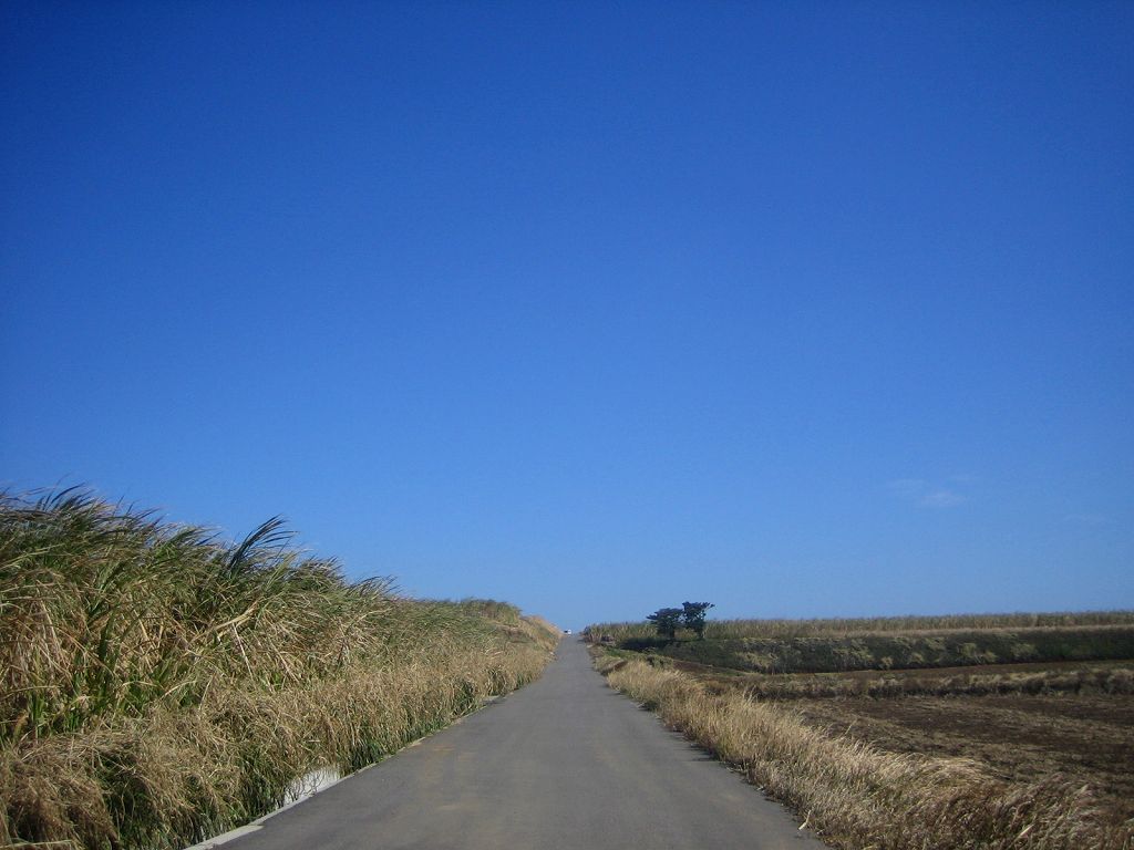 Pulau selancar dan alam semesta “TANEGASHIMA”