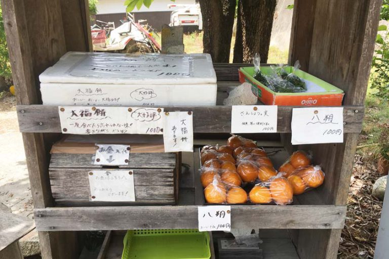 奈良旅行その1 山の辺の道、大神神社、三輪山