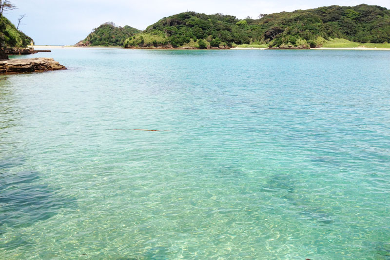 This is the sea at Tatsuno Island in Iki. The sea is so clear that you can see the ocean floor.