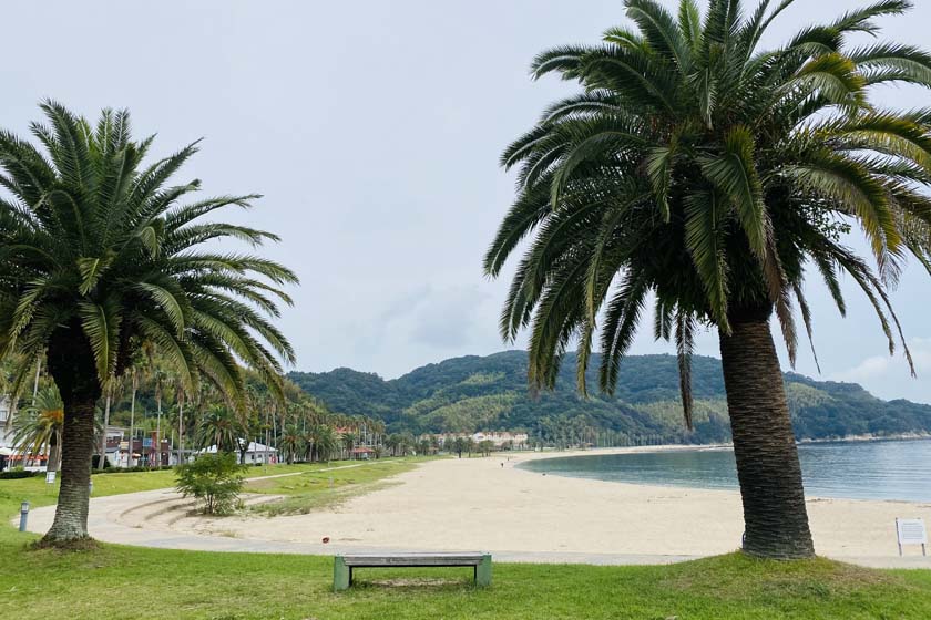 周防大島にある片添ヶ浜海水浴場です。2本のシュロの木の間からビーチをのぞみます。夏は賑わいますが、夏場でないため人が少なく静かなビーチを楽しめます。