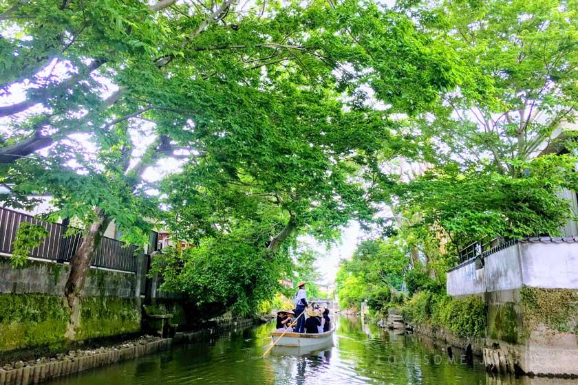 柳川川下り。柳川のお堀の緑が美しい木々の中を、観光客を乗せたどんこ舟がゆっくり進んでいます。