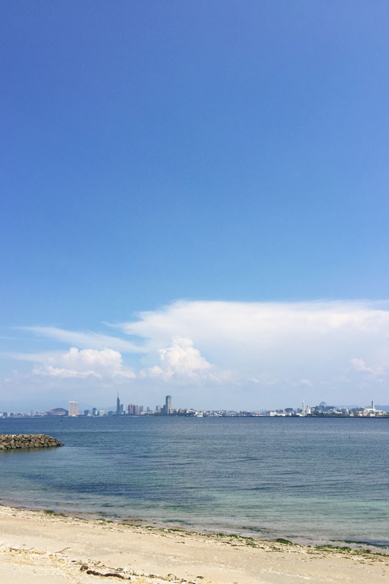 Fukuoka Tower, high-rise condominiums, and other Fukuoka cityscapes from Nokonoshima Island.